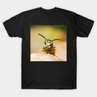 German Yellowjacket Wasp T-Shirt